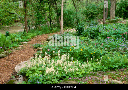 Schatten-Gartenweg entlang Stream aus Mulch und Bruchstein mit mehrfarbig blühen im Sommer Blumen, Missouri USA Stockfoto