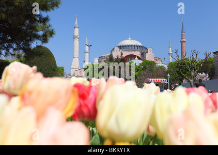 Türkei, Istanbul, Sultanahmet, Frühling, Aya Sofya, Aya, Sophia Stockfoto