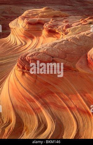 Abstrakte Muster auf erodierten Sandstein-Formationen im Vermilion Cliffs National Monument Stockfoto