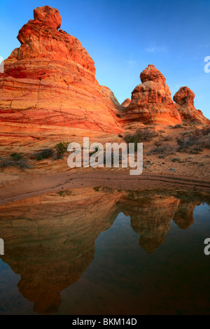 Felsformationen zu reflektieren, in einem kleinen Pool von Regenwasser in den Tipis Einheit der Vermilion Cliffs National Monument, Arizona Stockfoto