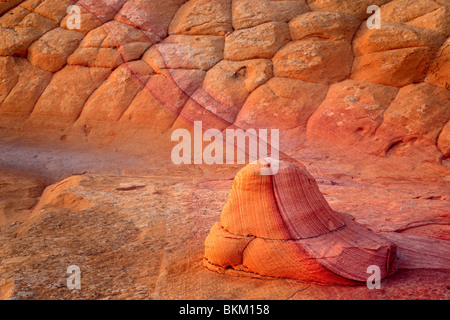 Strukturierte Sandsteinwand im Vermilion Cliffs National Monument, Arizona Stockfoto