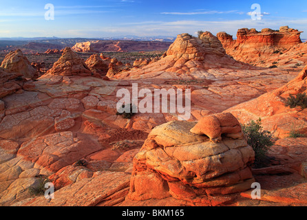 Felsformationen in der Vermilion Cliffs National Monument, Arizona Stockfoto