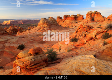 Felsformationen in der Vermilion Cliffs National Monument, Arizona Stockfoto