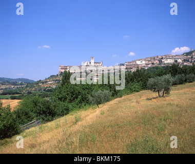 Panorama der Stadt Assisi, Provinz Perugia, Umbrien Region, Italien Stockfoto