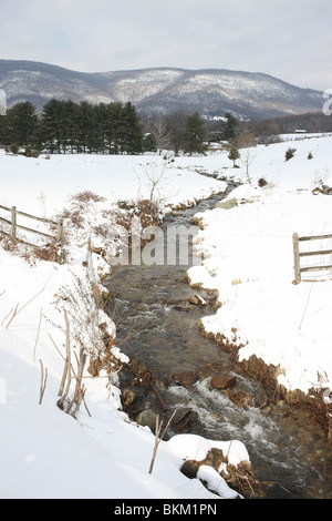 Schneefall in Charlottesville, VA. Stockfoto