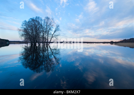 Überfluteten Fluss Suur-Emajõgi Stockfoto