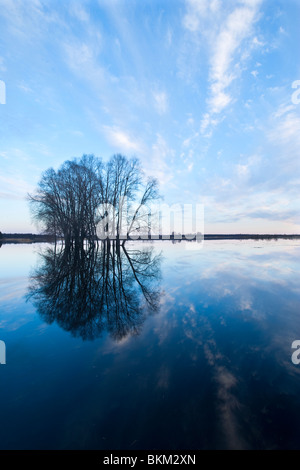 Überfluteten Fluss Suur-Emajõgi Stockfoto