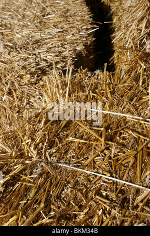 gelbe Strohballen in Hof Stockfoto