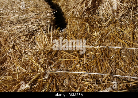 gelbe Strohballen in Hof Stockfoto