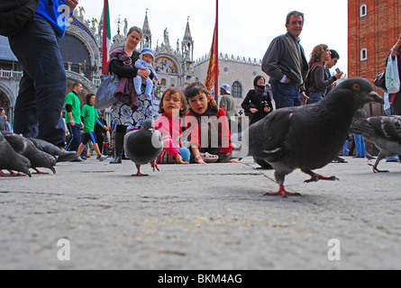 Kinder spielen mit Tauben in Markusplatz entfernt, Venedig, Italien Stockfoto