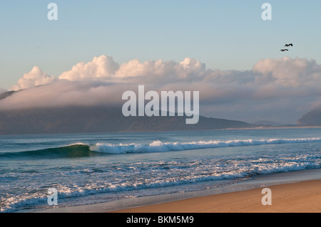 Am frühen Morgen am Strand, Hawks Nest, NSW, Australien Stockfoto