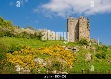 14. Jahrhundert Neidpath Castle neben dem Fluss Tweed Peebles schottischen grenzt Stockfoto