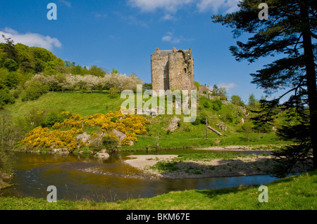 14. Jahrhundert Neidpath Castle neben dem Fluss Tweed Peebles schottischen grenzt Stockfoto