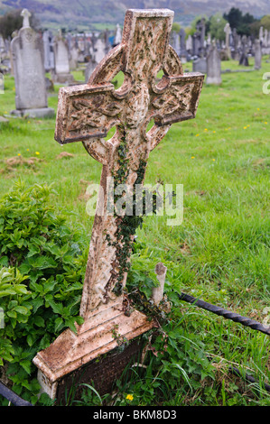 Verrostete gusseiserne Keltisches Kreuz Grabstein, mit Efeu, es aufwachsen. Stockfoto