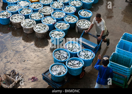 Der Haken ist für den Verkauf am Morgen entladen Fischmarkt in Sandakan, Sabah, Borneo, Malaysia. Stockfoto