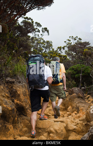 Wanderer auf den Mt. Kinabalu Gipfelrundweg. Kinabalu National Park, Sabah, Borneo, Malaysia. Stockfoto