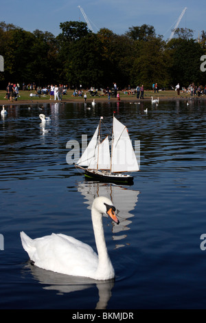 Schwäne und Modellboote auf dem runden Teich in den Kensington Gardens Stockfoto