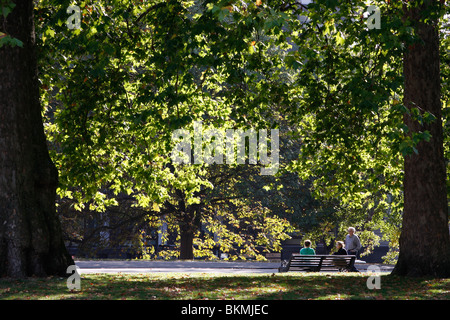 Sitzen unter den Bäumen an einem sonnigen Tag in den Kensington Gardens, London Stockfoto