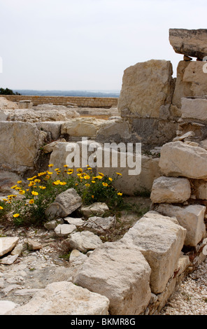 IN DEN ANTIKEN RUINEN VON KOURION. EPISKOPI ZYPERN. EUROPA Stockfoto