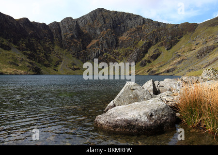 Der See Llyn Cau eingebettet unterhalb der großen Klippen Craig CAU am Berg Cadair Idris in Snowdonia, Nordwales Stockfoto