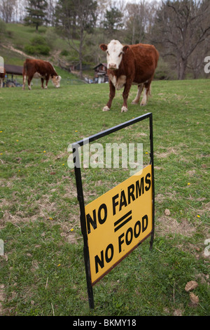 Dameron, West Virginia - fördert ein Zeichen in einer Weide auf einer kleinen Farm in West Virginia Landwirtschaft. Stockfoto