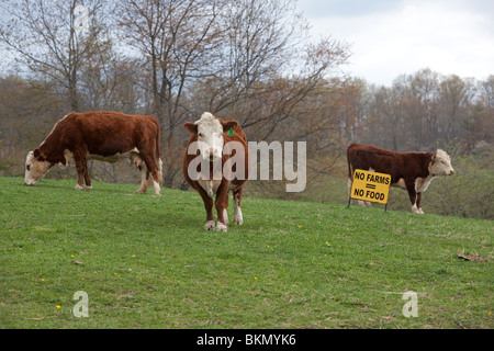 Dameron, West Virginia - fördert ein Zeichen in einer Weide auf einer kleinen Farm in West Virginia Landwirtschaft. Stockfoto