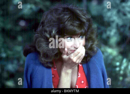 AM GOLDENEN SEE (1981) JANE FONDA OGP 047 ITC INSERATE NUR Stockfoto