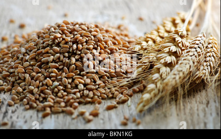 Closeup auf Haufen Weizenkörner Bio Vollkorn und Ohren Stockfoto