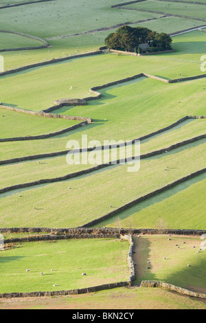 Die Kirche des St. Olaf eingebettet in eine Gruppe von Bäumen inmitten von Feldern in Wasdale Head im englischen Lake District National Park Stockfoto