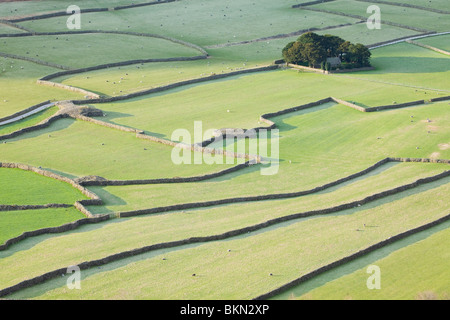 Die Kirche des St. Olaf eingebettet in eine Gruppe von Bäumen inmitten von Feldern in Wasdale Head im englischen Lake District National Park Stockfoto