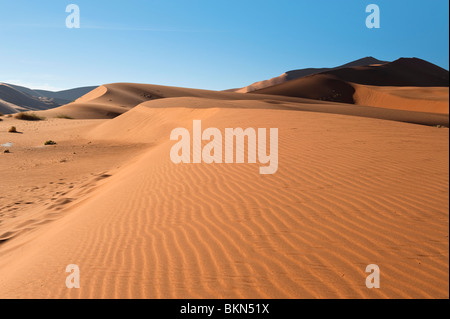 Big Daddy Dünen im Sossusvlei eine der höchsten Dünen der Welt, Namibia Stockfoto