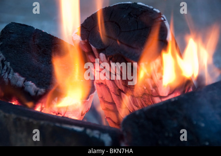 Ein brennendes Feuer in einer Feuerstelle Stockfoto