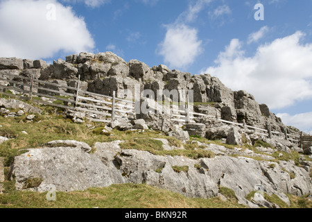 Nach oben auf die 'Kalkstein Pflaster', "Malham Cove", Yorkshire Dales. Stockfoto