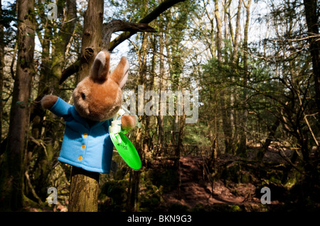 Osterhase gebunden an einen Baum in Puzzlewood in The Forest of Dean, Gloucestershire Stockfoto