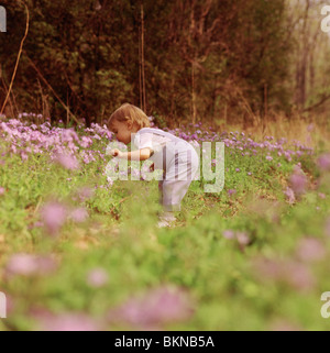 Kleines Kind im Overall biegen um die Blumen zu riechen Stockfoto