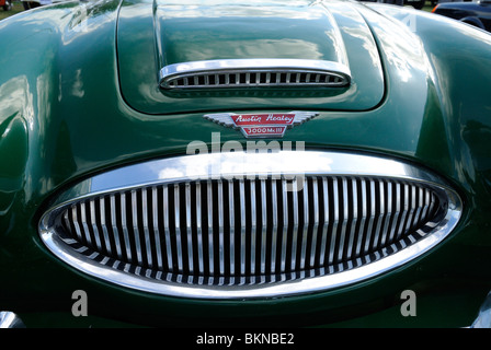 Austin Healey 3000 Mk III Sportwagen 1959-1967, Frontgrill Detail Stockfoto