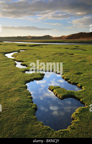 Himmel & Wolken spiegeln sich in Wasserbecken entlang der Gezeiten-Mündung des Ogmore Vale in Glamorgan, Wales, UK Stockfoto