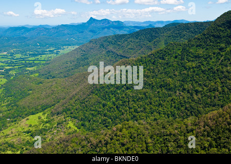 Blick vom Echo Point Lookout, Albert River Circuit, Lamington Nationalpark, Queensland, Australien Stockfoto