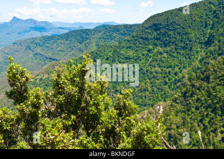 Blick vom Echo Point Lookout, Albert River Circuit, Lamington Nationalpark, Queensland, Australien Stockfoto