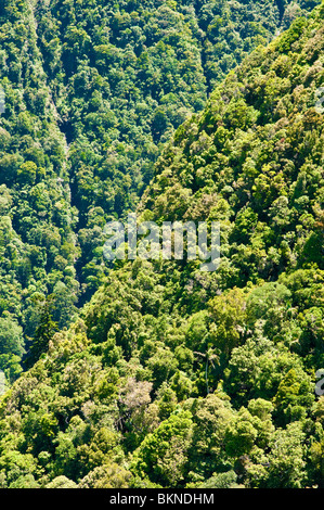 Blick vom Echo Point Lookout, Albert River Circuit, Lamington Nationalpark, Queensland, Australien Stockfoto