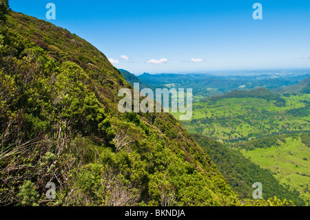 Blick vom Echo Point Lookout, Albert River Circuit, Lamington Nationalpark, Queensland, Australien Stockfoto