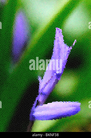 Künstlerischer Ausdruck der hellen Bluebell Knospen im Frühjahr Stockfoto