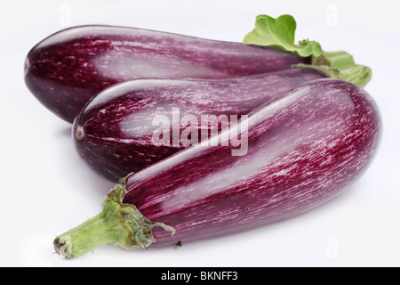 Lila Auberginen mit Blättern auf weißem Hintergrund Stockfoto