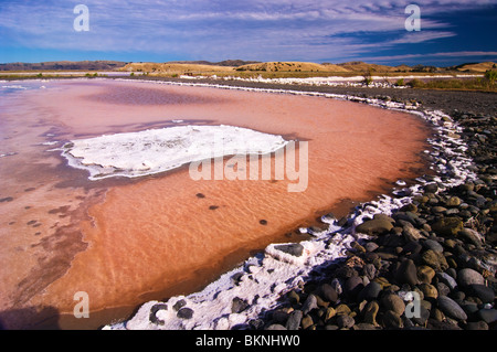 Kristallisation Teiche am Lake Grassmere Saline, Marlborough, Neuseeland. Stockfoto