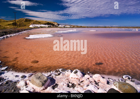 Kristallisation Teiche am Lake Grassmere Saline, Marlborough, Neuseeland. Stockfoto