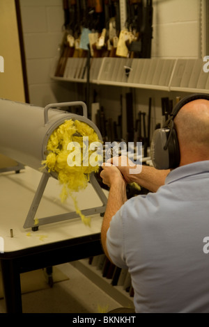 Forensischen Experten Feuer Pistole in Kevlar Kugelfang. Mit minimalen Auswirkungen können Kugeln abgefeuert in diese abgerufen werden. Stockfoto