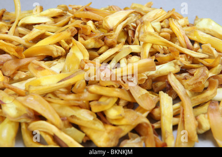 Kerala Jack Obst Braten Stockfoto