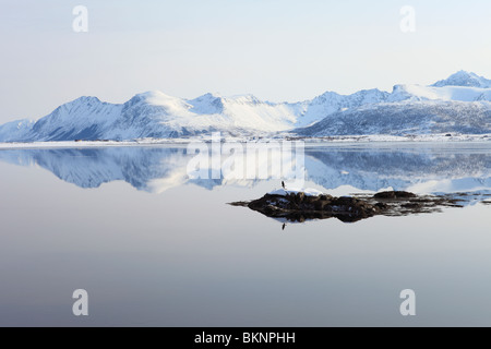 Blick über Steirapollen Einlass/See von der E10-Straße in der Nähe von Alstad auf Vestvågøy, einer von den Lofoten in Norwegen Stockfoto