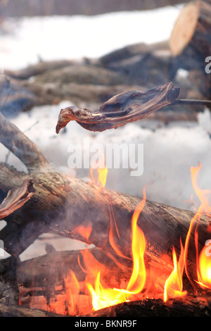 Die jährliche Sami Frühling Rentier Migration von Stubba nr Gällivare in Schweden durch ihrem angestammten Land in Lappland Stockfoto