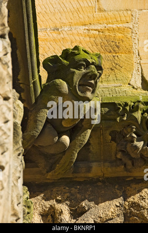 Nahaufnahme der grotesken geschnitzten Figur an der Wand Der Bridlington Priory Church (St. Mary) East Yorkshire England Vereinigtes Königreich Großbritannien Stockfoto